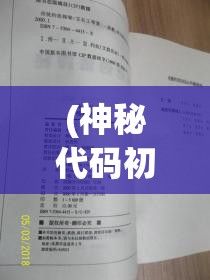 (神秘代码初审) 探秘代码审判：如何在保护隐私中维护法律的公正与效率?